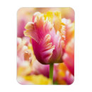 Search for spring bulbs magnets Garden