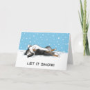 Search for sheepdogs cards Sheltie