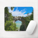 Search for huron mouse mats Mackinac island