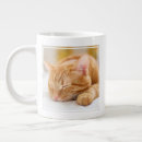 Search for cutest mugs Pet