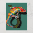 Search for chameleons postcards Pets