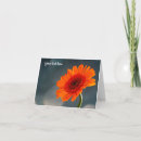 Search for orange gerbera cards Daisy