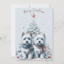 Search for highlanders cards Westie