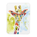 Search for giraffe face magnets Giraffes