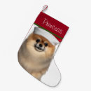 Search for pomeranian christmas stockings Dogs