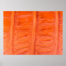Search for crocodile posters Abstract