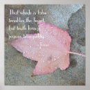 Search for pink leaf posters Nature