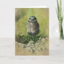 Search for burrowing cards Birds