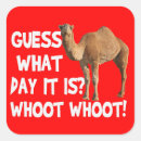 Search for camel stickers Funny