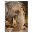 Search for elephant notebooks Nature