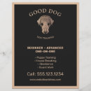 Search for dog walking flyers Veterinary