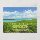 Search for white candy postcards Photography