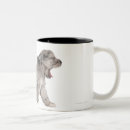 Search for domesticated drinkware Dog