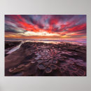 Search for la jolla posters San diego