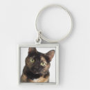 Search for tortoiseshell key rings Tortie
