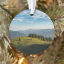 Search for european christmas tree decorations Dawn