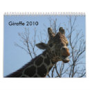 Search for giraffe calendars Photography
