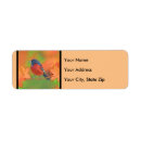 Search for wild birds return address labels Songbird