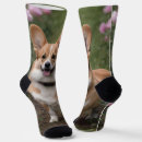 Search for corgi socks Pet