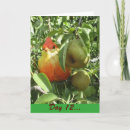 Search for partridge in a pear tree christmas cards Pears