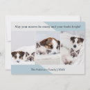 Search for funny animal photos cards Dog