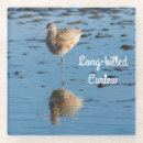 Search for bill coasters Bird