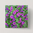 Search for petunia badges Floral