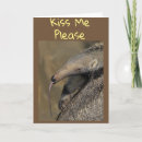 Search for aardvark cards Anteater