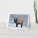 Search for elk christmas cards Snow