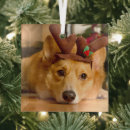 Search for corgi christmas tree decorations Dog
