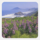 Search for rugged stickers Scenic