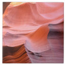 Search for antelope tiles Desert