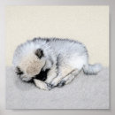 Search for sleeping dog posters Grey