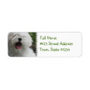 Search for maltese return address labels Puppy