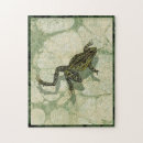 Search for toad puzzles Frog
