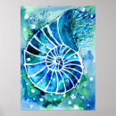 Search for nautilus posters Animals