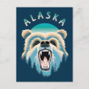 Search for bear face postcards Wildlife