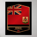Search for bermuda Illustration