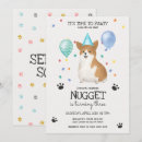 Search for corgi invitations Lets pawty
