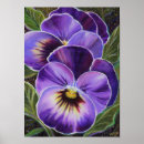 Search for pansy art Purple pansies