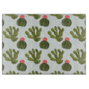Search for cactus gifts Costa rica