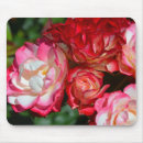 Search for pink roses mouse mats Romance