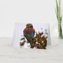 Search for proud cards Animal