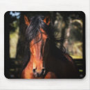 Search for colt standard mouse mats Stallion