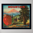Search for vintage apple fruit posters Mountain