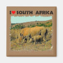 Search for south africa magnets African