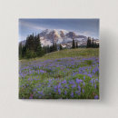 Search for mount washington badges View