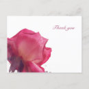 Search for pink easter postcards Roses