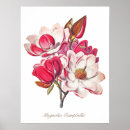Search for longevity posters Floral