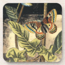Search for butterfly coasters Botanical
